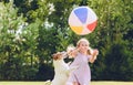 Little girl playing with her pet dog and beach ball at backyard lawn on summer day Royalty Free Stock Photo