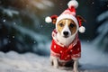 ai generated Jack Russell Terrier dog in red Christmas hat and warm suit walking in winter snowy park or forest Greeting card