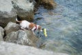 Jack russell terrier dog trying to get a toy from the sea. Dog on a beach