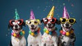 Jack russell terrier with funny sunglasses