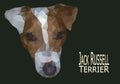 Jack Russell Terrier head low poly illustration