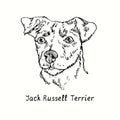 Jack Russell Terrier Parson Russell Terrier muzzle front view. Ink black and white doodle drawing