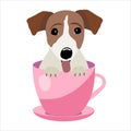 Jack Russell Terrier in pink teacup, illustration, set for baby fashion