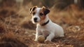 A Jack Russell terrier playing with a ball created with Generative AI