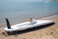 Jack russell terrier posing on a paddle board on the beach. Dog on a surf board Royalty Free Stock Photo