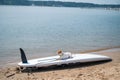 Jack russell terrier posing on a paddle board on the beach. Dog on a surf board Royalty Free Stock Photo