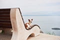 A Jack Russell Terrier sits atop a curved bench with a lake view. Dog in nature Royalty Free Stock Photo