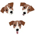 Jack Russell Terrier. Vector Illustration of a dog