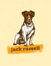 Jack Russell Terrier. Vector Illustration of a dog.