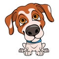 Jack Russell Terrier. Vector illustration of a Ukrainian dog named Patron. Cute puppy. Beautiful domestic dog