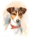 Jack Russell Terrier Watercolor Dog Breed Animal Illustration Hand Painted
