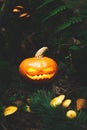 Jack`s lantern in scary, mystical forest