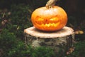 Jack`s lantern in scary, mystical forest