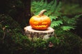 Jack`s lantern in scary, mystical forest