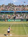 Jack Sock at the Davis Cup tie against Australia at Kooyong Lawn Tennis Club