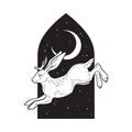 Jackalope hare with horns folklore magic animal over night sky with crescent moon hand drawn line art gothic tattoo design