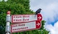 Jackdaw perched on a bicicle route sign