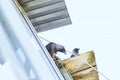 Jackdaws on the roof are closely watching the photographer Royalty Free Stock Photo