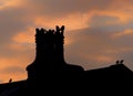 Jackdaws and starlings perched on the chimney and roof of a house in silhouette against a glowing cloudy evening sky