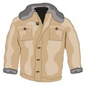 Jacket male winter