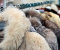 Jackets fur coat hanging and second-hand clothes for sale in fl Royalty Free Stock Photo