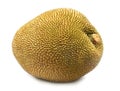 Jackfruit