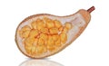 Jackfruit or Artocarpus integer fruit on white