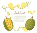 Jackfruit Exotic Juicy Stone Fruit Vector Isolated