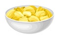 Jackfruit Fruit Yellow Seeds Rested in Bowl Vector Illustration