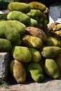 Jackfruit, A Ginormous Fruit To Feed The World