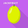 Jackfruit icon, flat style