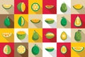 Jackfruit icons set flat vector. Vegan tropical exotic