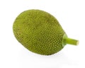 Jackfruit isolated on white background Royalty Free Stock Photo