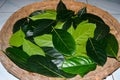 Jackfruit leaves are picked and used to wrap apem cake