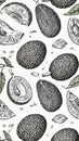 Jackfruit Pattern - Hand-Drawn Tropical Fruit Illustration Royalty Free Stock Photo