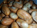 Jackfruit seeds are rich in taste