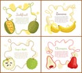 Jackfruit and Sugar Apple Set Vector Illustration