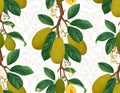 Jackfruit Tree Pattern with Green Leaves Royalty Free Stock Photo