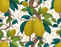 Jackfruit Tree Pattern with Leaves and Fruits Royalty Free Stock Photo