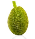 Jackfruit isolated on white background Royalty Free Stock Photo