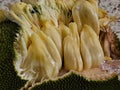 Jackfruits are peeled.It is delicious and juicy fruit.