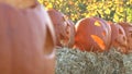 Jackolantern rack focus