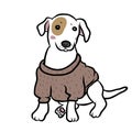 Corgi dog wear sweater cartoon illustration