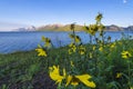 Jackson Lake Wyoming