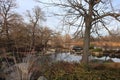 Japanese Garden, Jackson Park, Chicago, Illinois USA