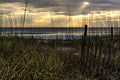 JACKSONVILLE BEACH BEACH SAWGRASS SUNRISE