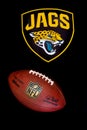 Jacksonville jaguars NFL Royalty Free Stock Photo
