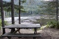 Jacques-Cartier National Park in province of Quebec, Canada, with green foliages and wooden bench a Royalty Free Stock Photo