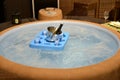 Jacuzzi, hot tub