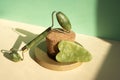 Jade Gua sha scraper and facial massager on beige background. Lifting and toning treatment at home.